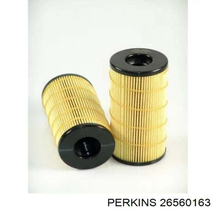 Filtro combustible Perkins 26560163 precio, desde 22,76 EUR