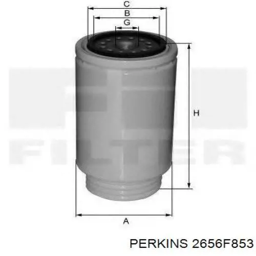 Filtro de combustible RD876P Rider