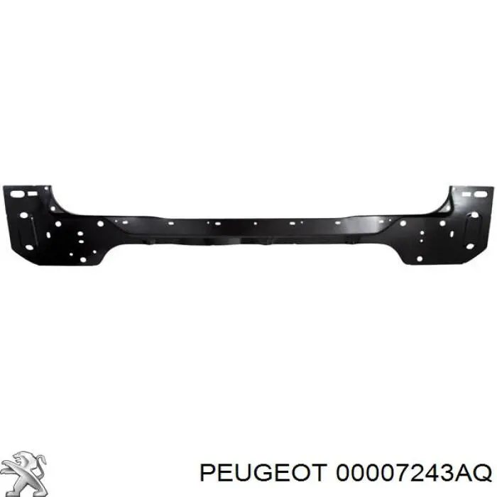 00007243AQ Peugeot/Citroen panel trasero de maletero