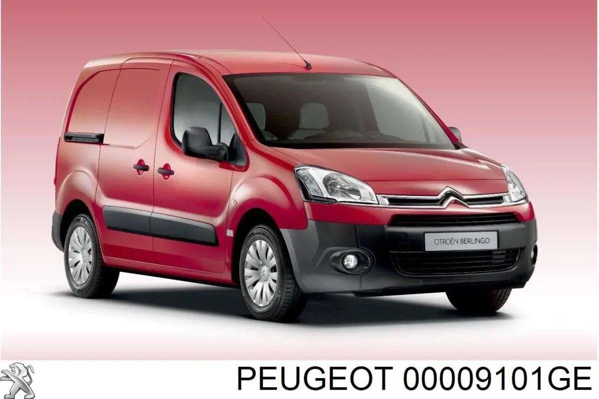 00009101GE Peugeot/Citroen tirador de puerta exterior delantero izquierda