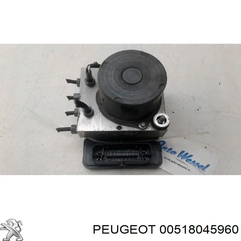  00518045960 Peugeot/Citroen