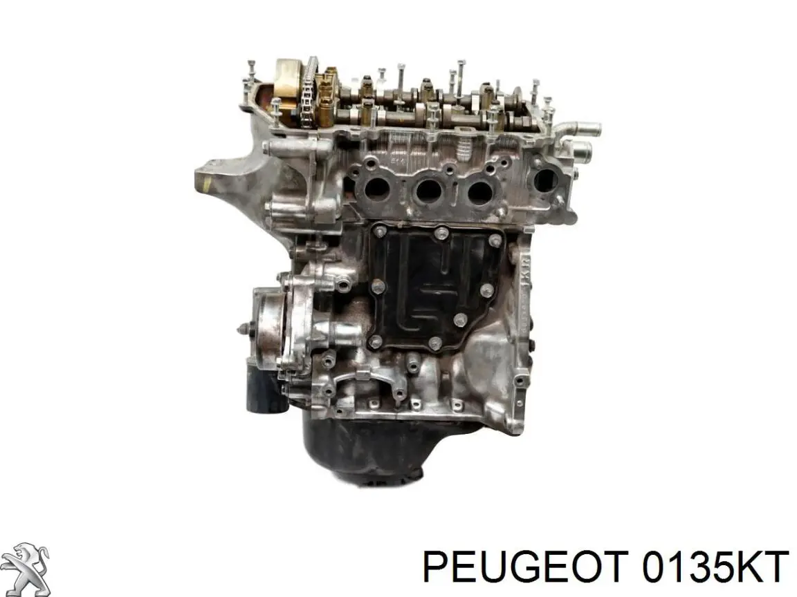0135KT Peugeot/Citroen motor completo