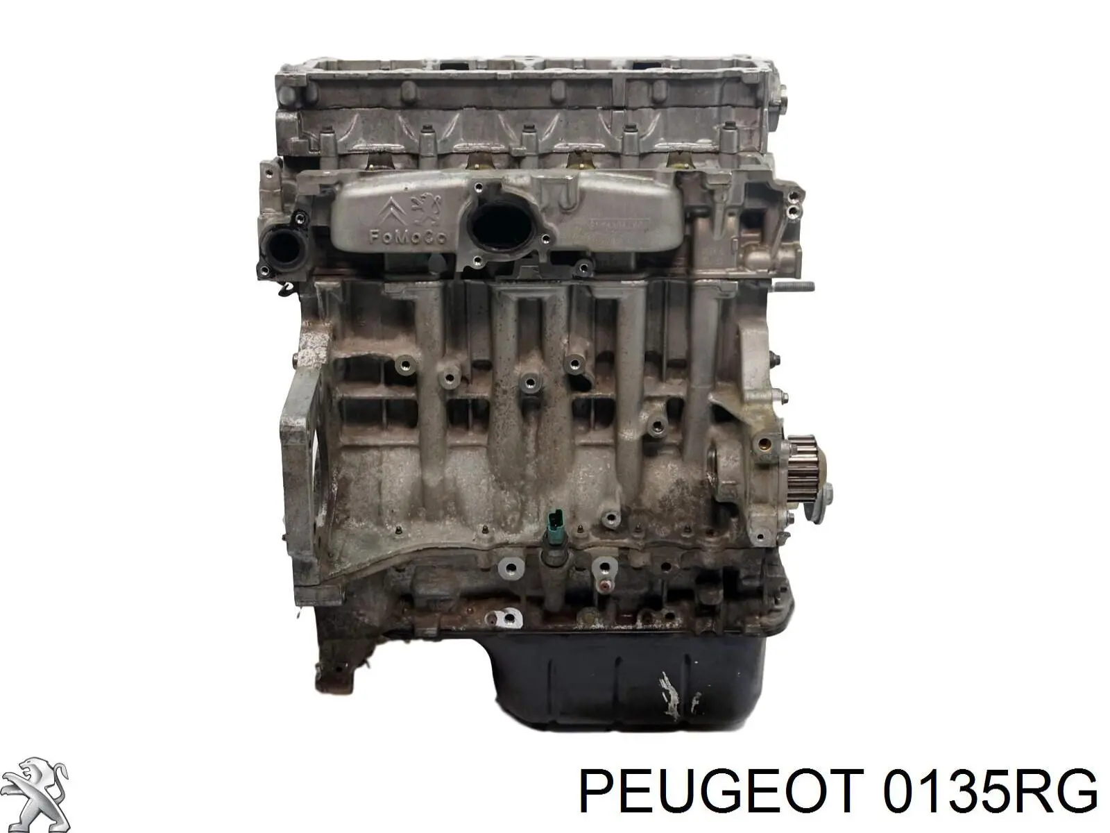 0135RG Peugeot/Citroen motor completo