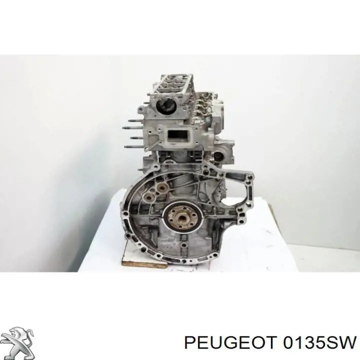 Motor completo Peugeot/Citroen 135SW precio, desde 1527,32 EUR