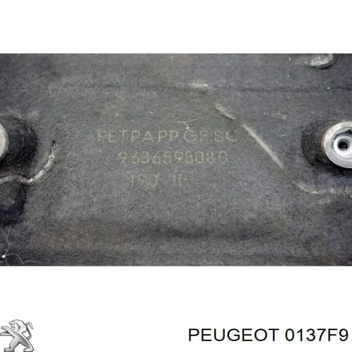 Cubierta decorativa del motor Peugeot/Citroen 0137F9 precio, desde 47,46 EUR