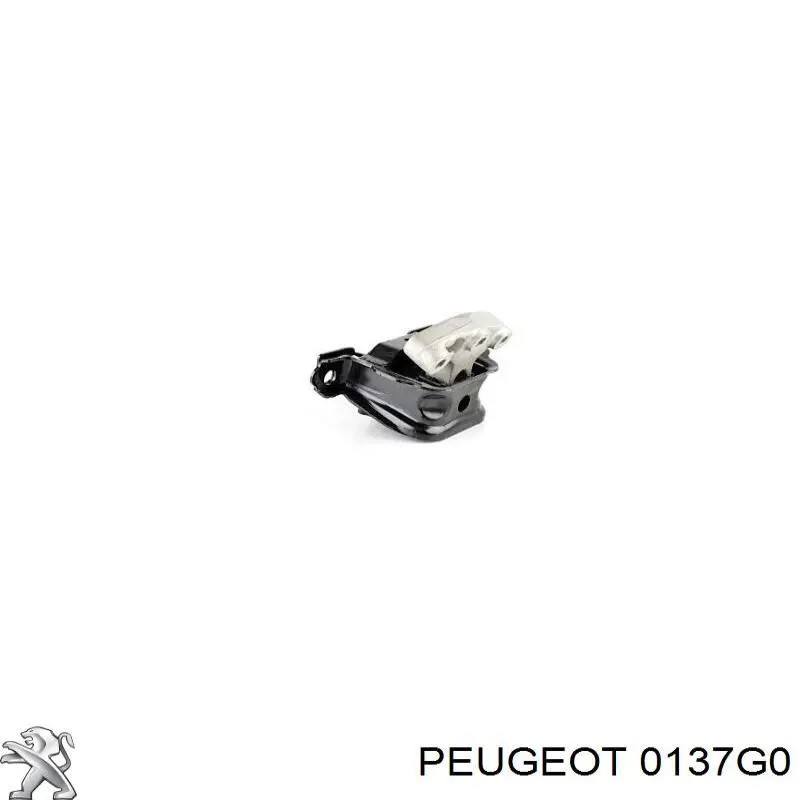 0137G0 Peugeot/Citroen pistón de una cubierta decorativa del motor