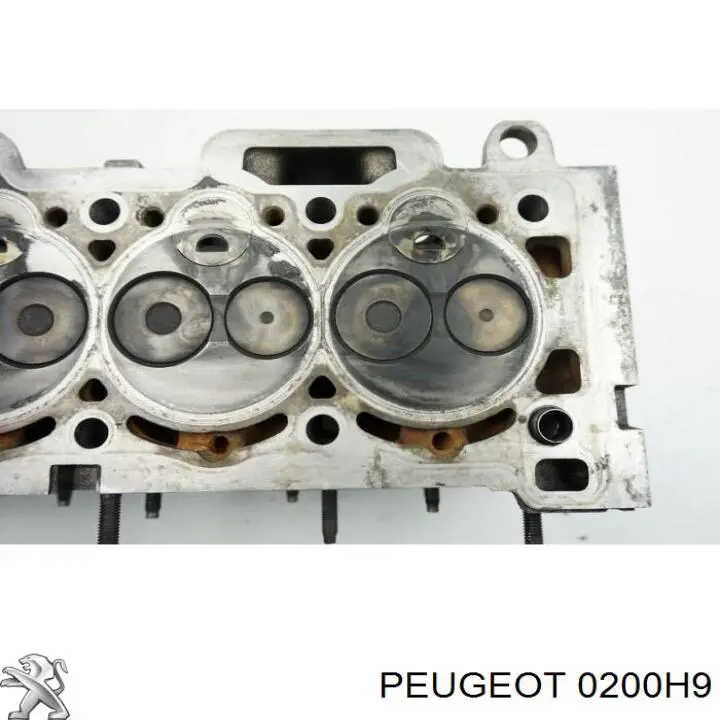 Cabeza de cilindro Peugeot/Citroen 0200H9 precio, desde 304,92 EUR