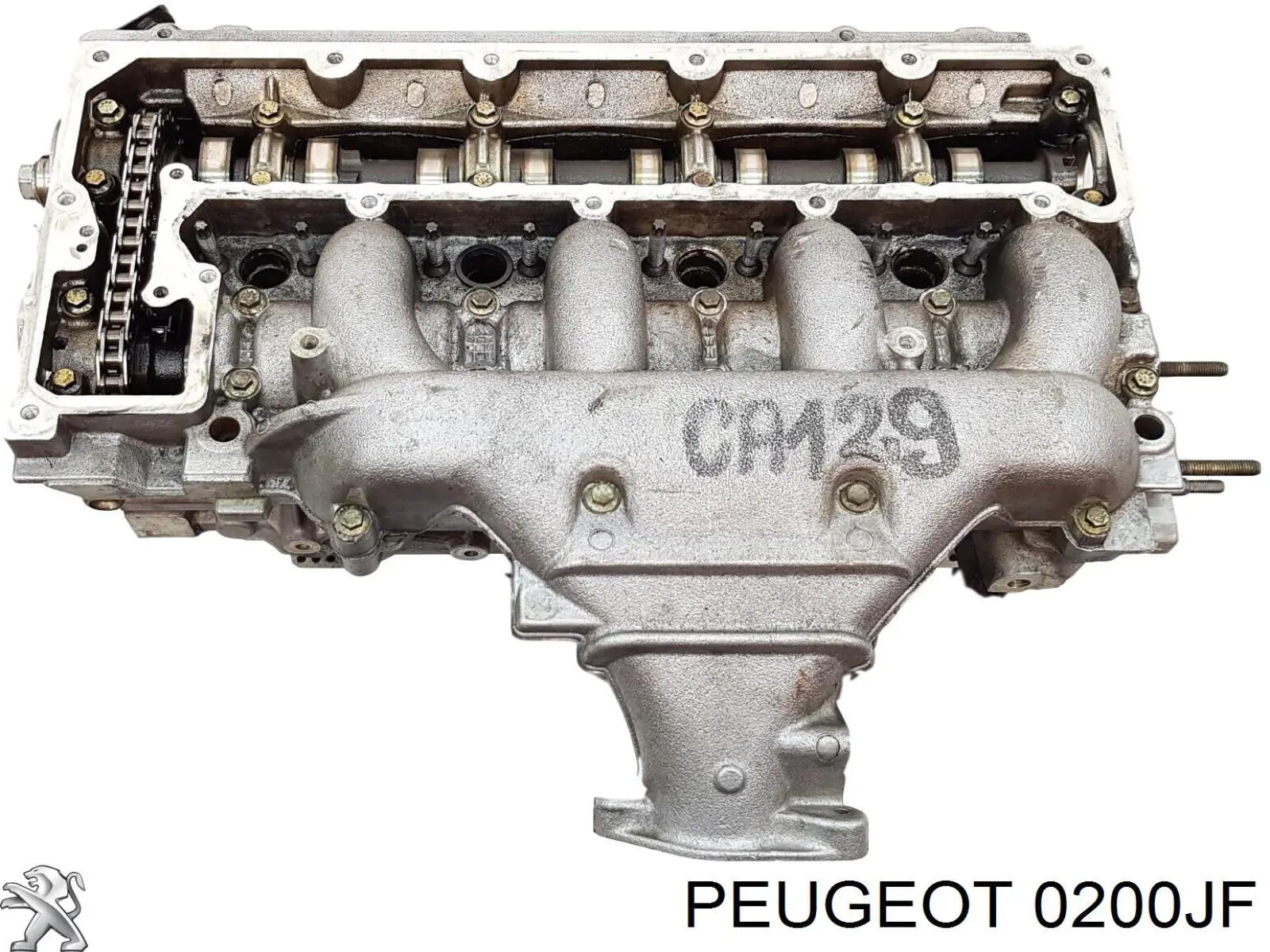 Cabeza de cilindro Peugeot/Citroen 0200JF precio, desde  