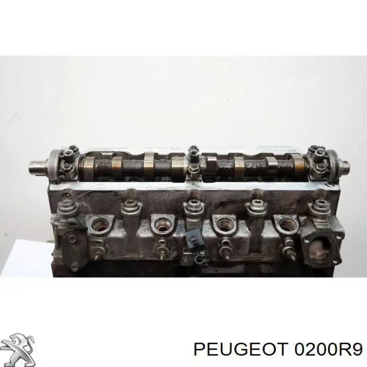 0200R9 Peugeot/Citroen culata