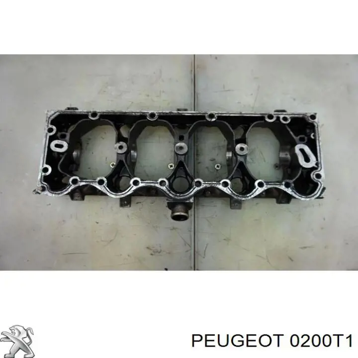 P8C Peugeot/Citroen Cabeza del motor