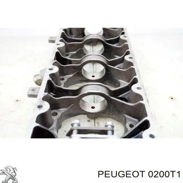 Cabeza de cilindro Peugeot/Citroen P8C precio, desde 66,79 EUR