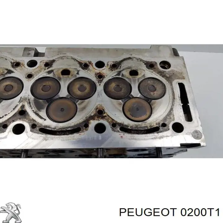 P8C Peugeot/Citroen culata