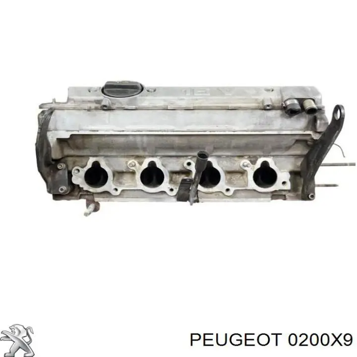 Cabeza de cilindro Peugeot/Citroen 0200X9 precio, desde 564,56 EUR