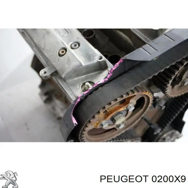 0200X9 Peugeot/Citroen culata