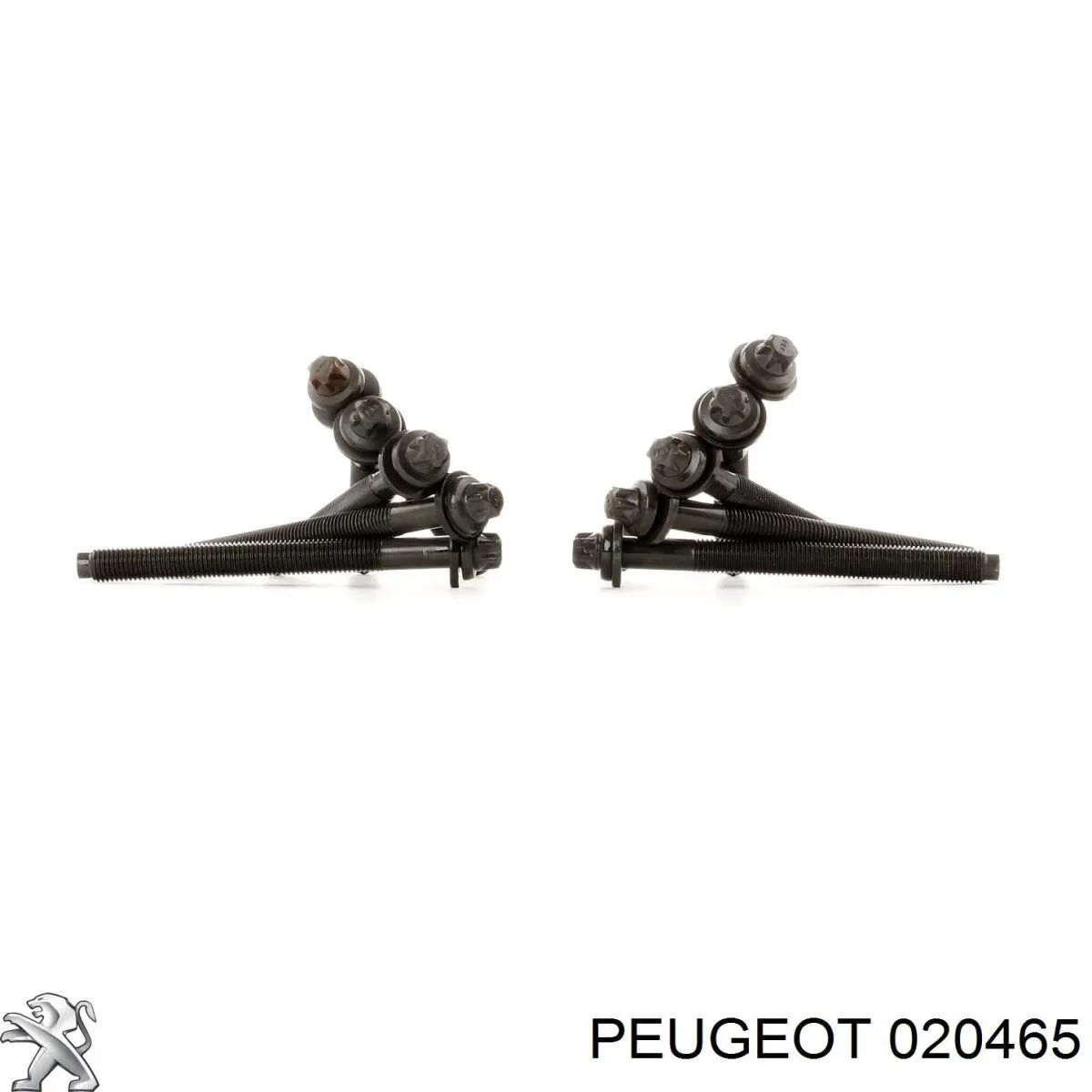 020465 Peugeot/Citroen tornillo de culata