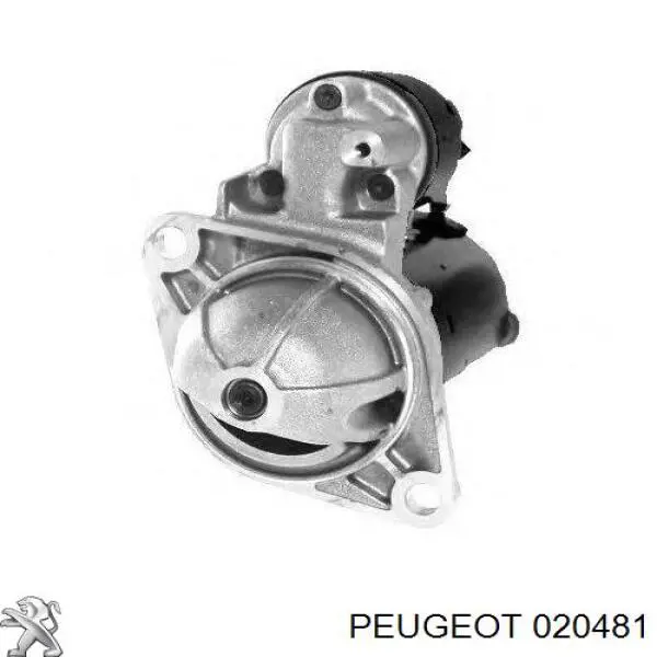 020481 Peugeot/Citroen tornillo de culata