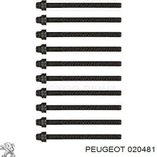 Juego tornillos culata Peugeot/Citroen 20481 precio, desde 3,02 EUR