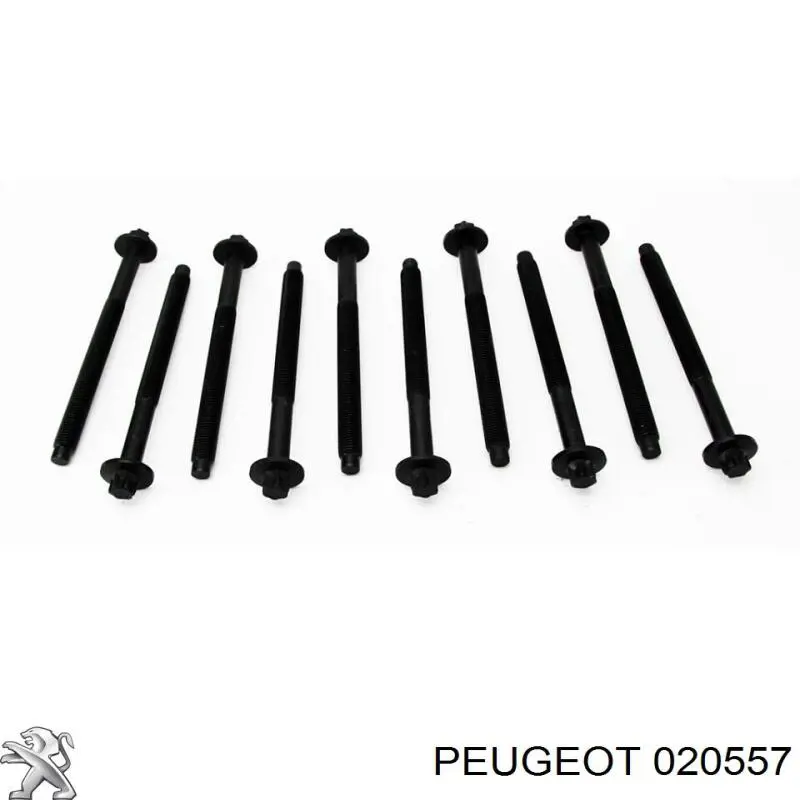 020557 Peugeot/Citroen Pernos de culata