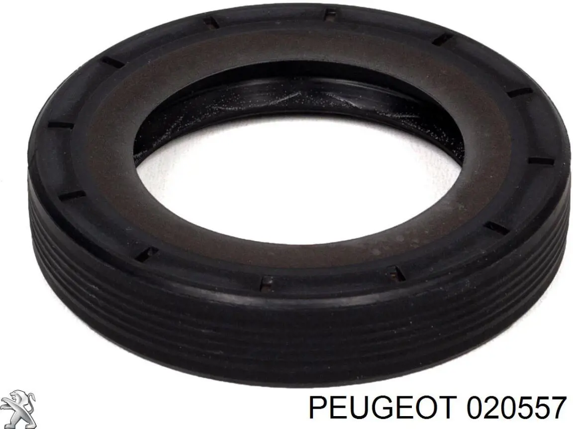 Tornillo de culata Peugeot/Citroen 020557