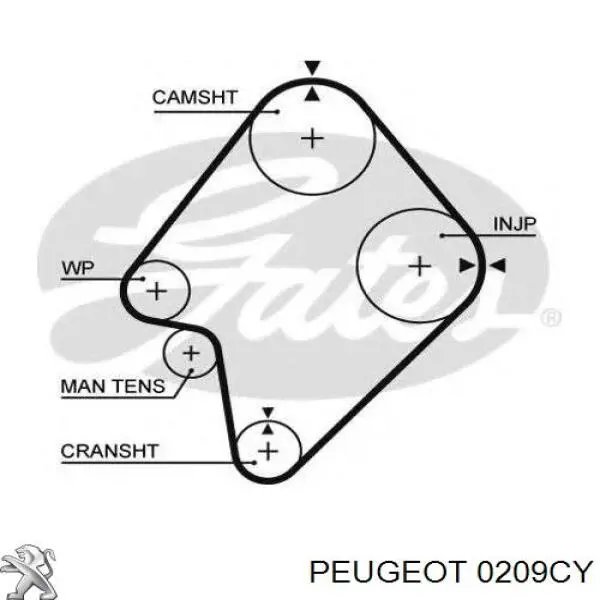 Empaque de culata Land Rover 1348686