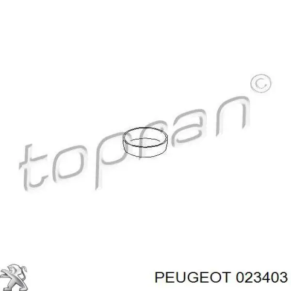023403 Peugeot/Citroen Tapa de bloque motor