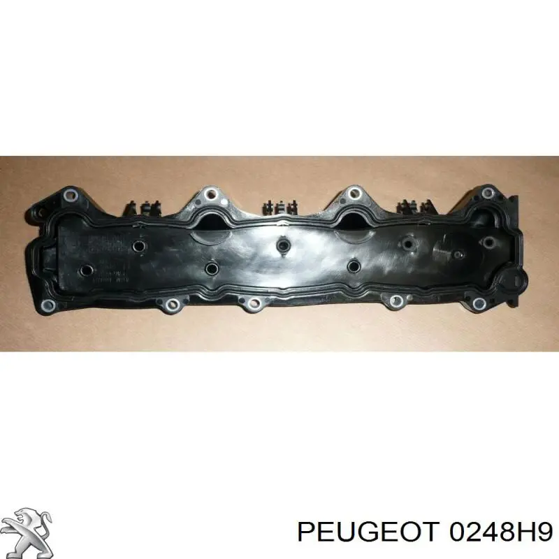 Tapa De Valvula Derecha para Peugeot 607 (9D, 9U)