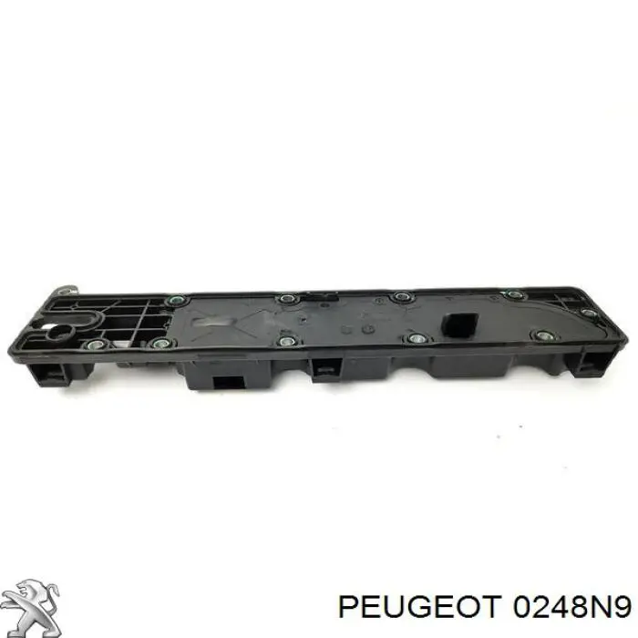 0248N9 Peugeot/Citroen tapa de valvula derecha