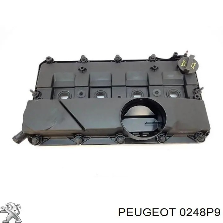 0248P9 Peugeot/Citroen tapa de culata