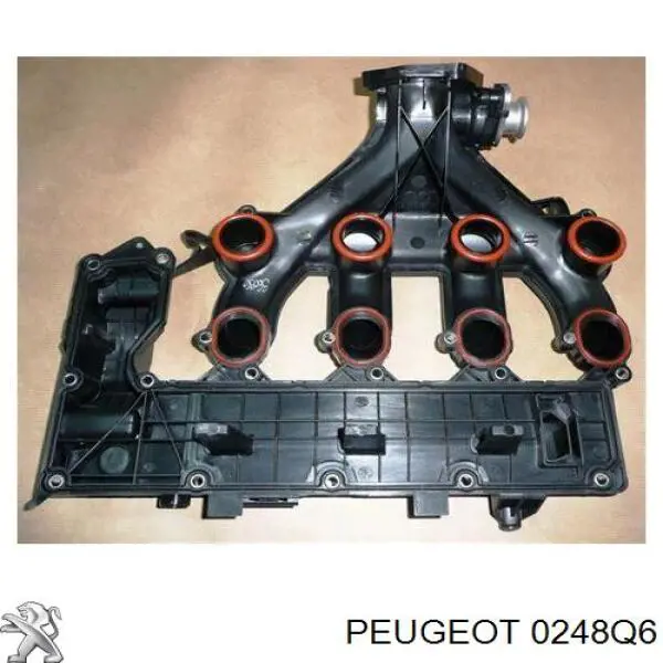 0248Q6 Peugeot/Citroen tapa de culata