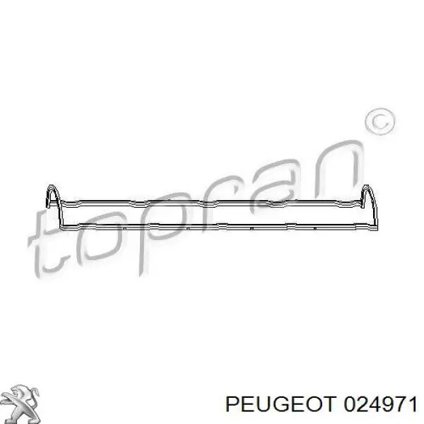 0249 71 Peugeot/Citroen junta de la tapa de válvulas del motor