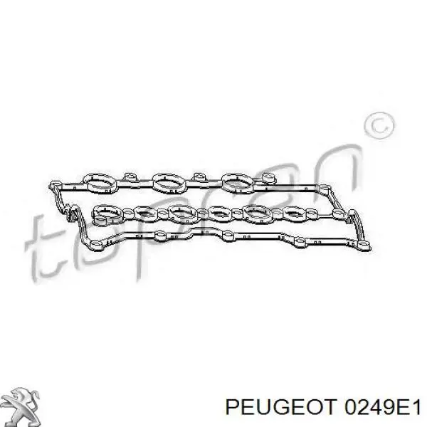 0249E1 Peugeot/Citroen junta de la tapa de válvulas del motor