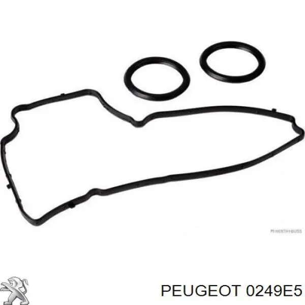 0249E5 Peugeot/Citroen junta, tapa de culata de cilindro, anillo de junta