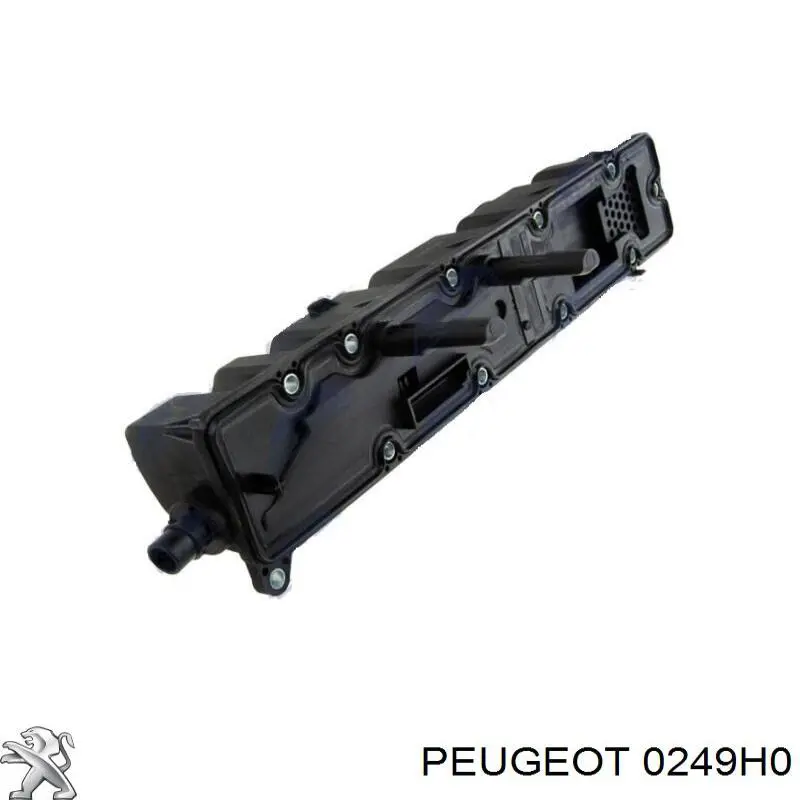 0249H0 Peugeot/Citroen junta de la tapa de válvulas del motor