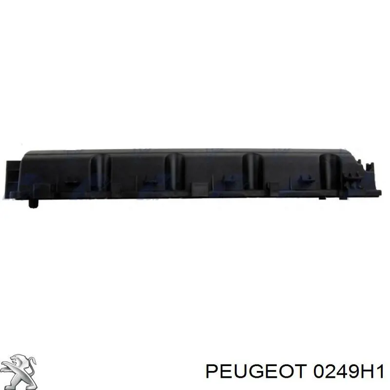 0249H1 Peugeot/Citroen junta, tapa de culata de cilindro derecha