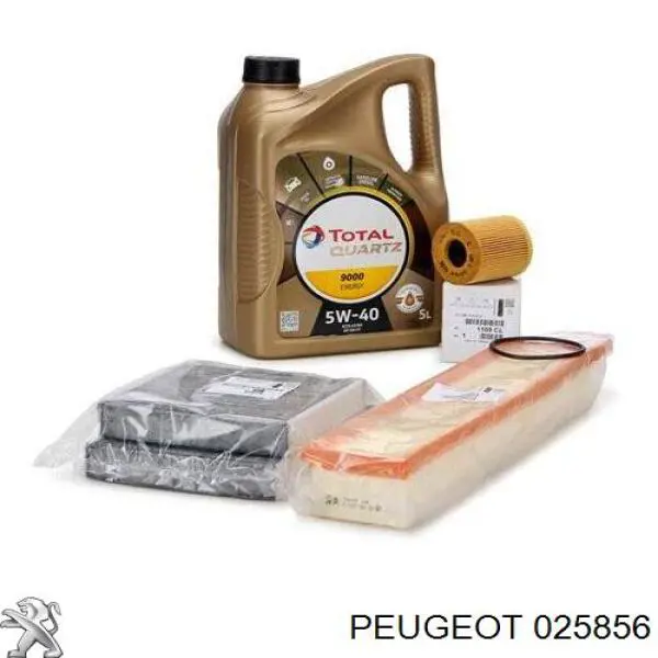 025856 Peugeot/Citroen tapa de aceite de motor