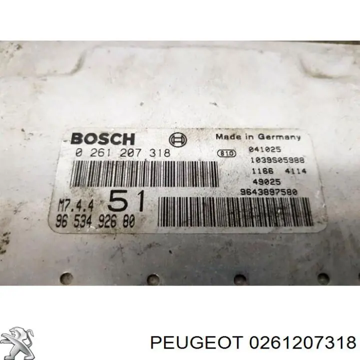 0261207318 Peugeot/Citroen 