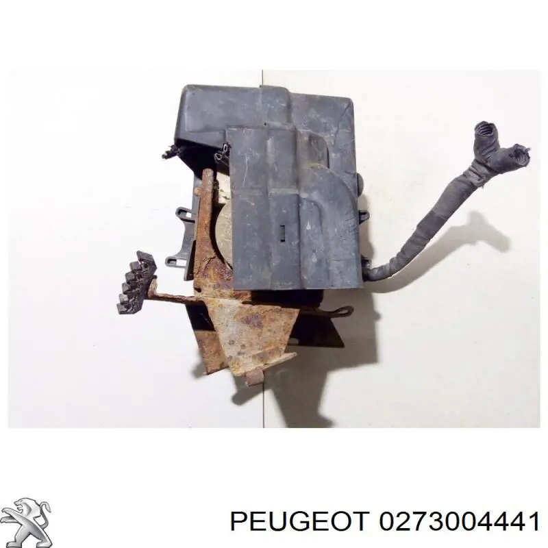  0273004441 Peugeot/Citroen