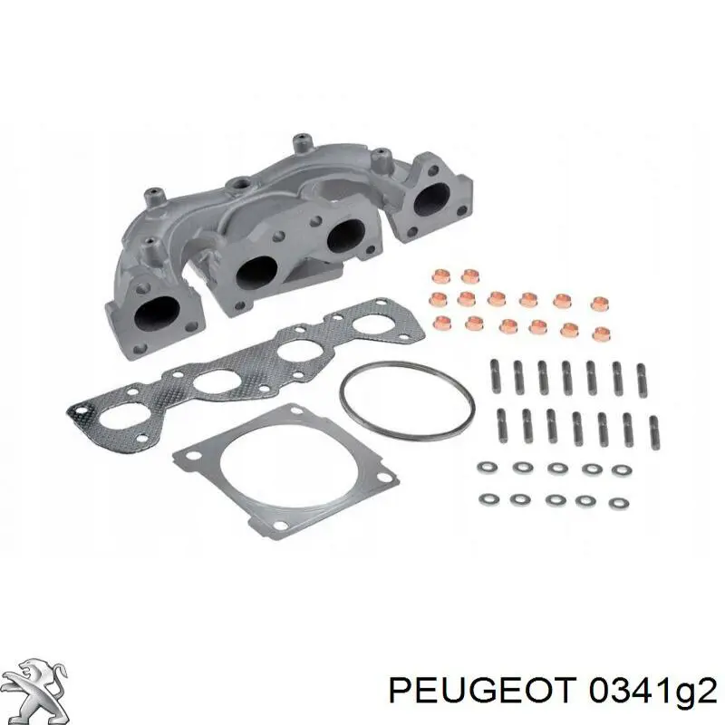 Sistema de escape del motor Triclo 350518