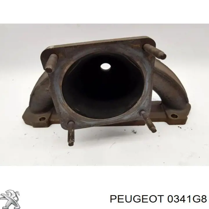 Colector de escape, sistema de escape Peugeot/Citroen 0341G8 precio, desde  
