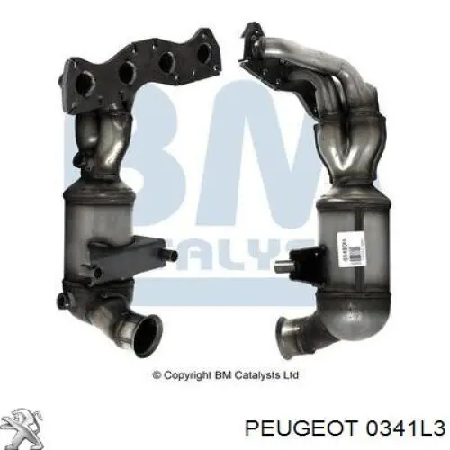 Comprar 0341L3 Peugeot/Citroen Catalizador