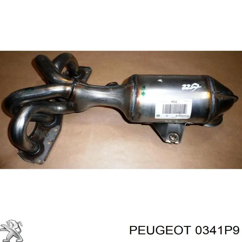 Catalizador Peugeot/Citroen 0341P9 precio, desde 288,80 EUR