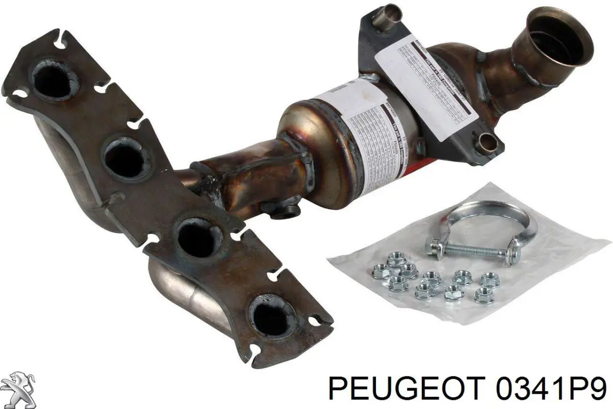 0341P9 Peugeot/Citroen catalizador