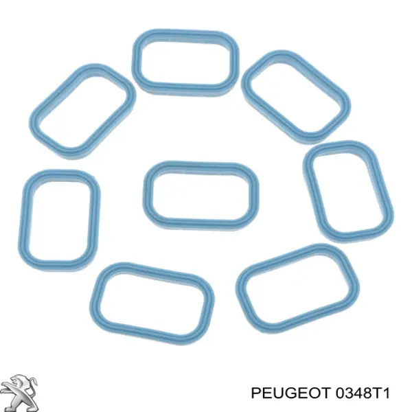 Junta, colector de admisión Jaguar X-type CF1