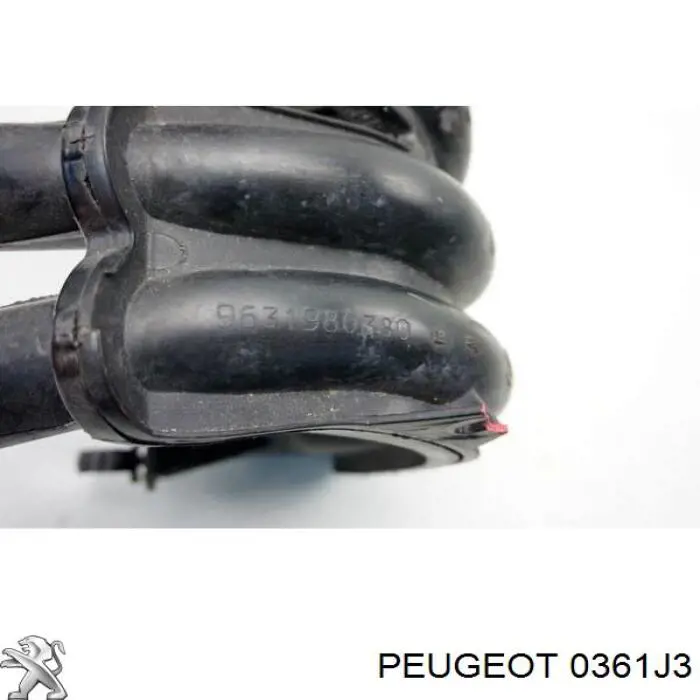 Módulo colector de admisión Peugeot/Citroen 0361J3 precio, desde 69,40 EUR