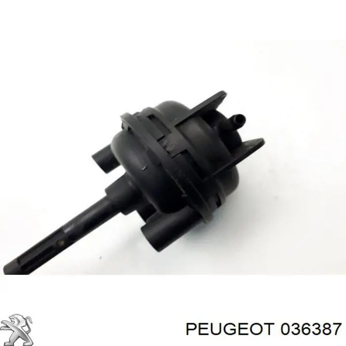 36387 Peugeot/Citroen válvula (actuador De Control De Turbina)