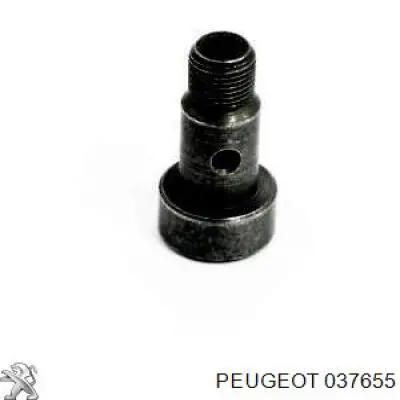 Perno de tubo de alimentación de aceite de turbocompresor Peugeot/Citroen 037655 precio, desde 7,09 EUR