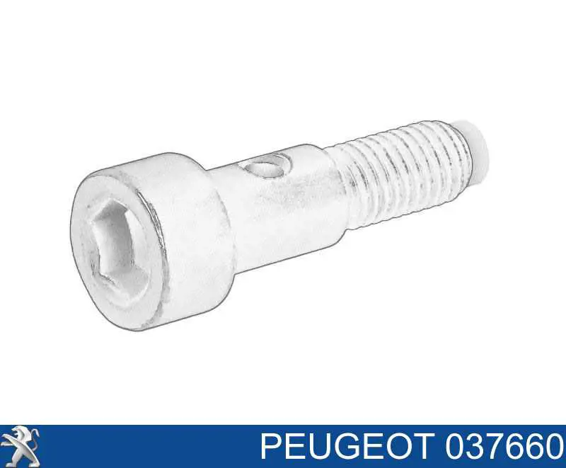 Comprar 037660 Peugeot/Citroen Perno de tubo de alimentación de aceite de turbocompresor
