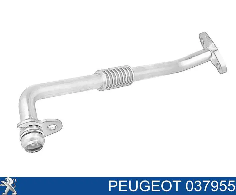 Tubo de drenaje de aceite de turbocompresor Peugeot/Citroen 037955 precio, desde 47,00 EUR