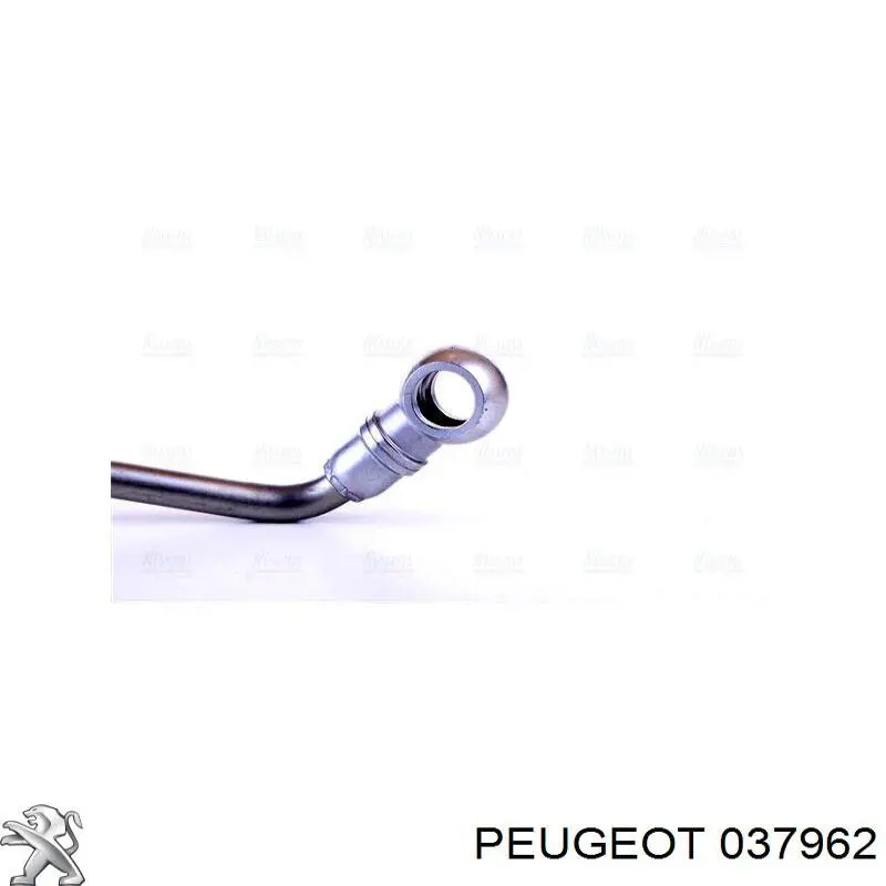 Tubo de suministro de aceite a la turbina Peugeot/Citroen 037962