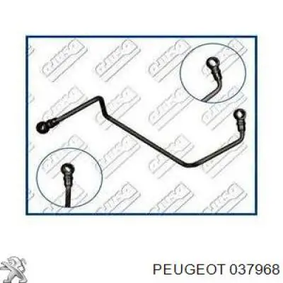 037968 Peugeot/Citroen tubo (manguera Para El Suministro De Aceite A La Turbina)